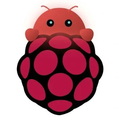 BerryClaw on Raspberry Pi